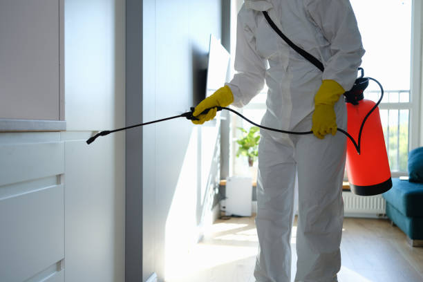 Best Mold Remediation  in Holly Springs, NC